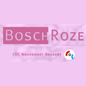 Bosch Roze/ COC Noord Oost Brabant
